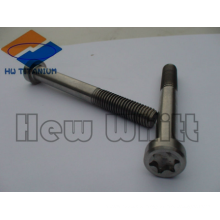 hochfester Titan M6 torx Kopf